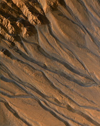 False-color image of gully channels in a crater in the southern highlands of Mars.