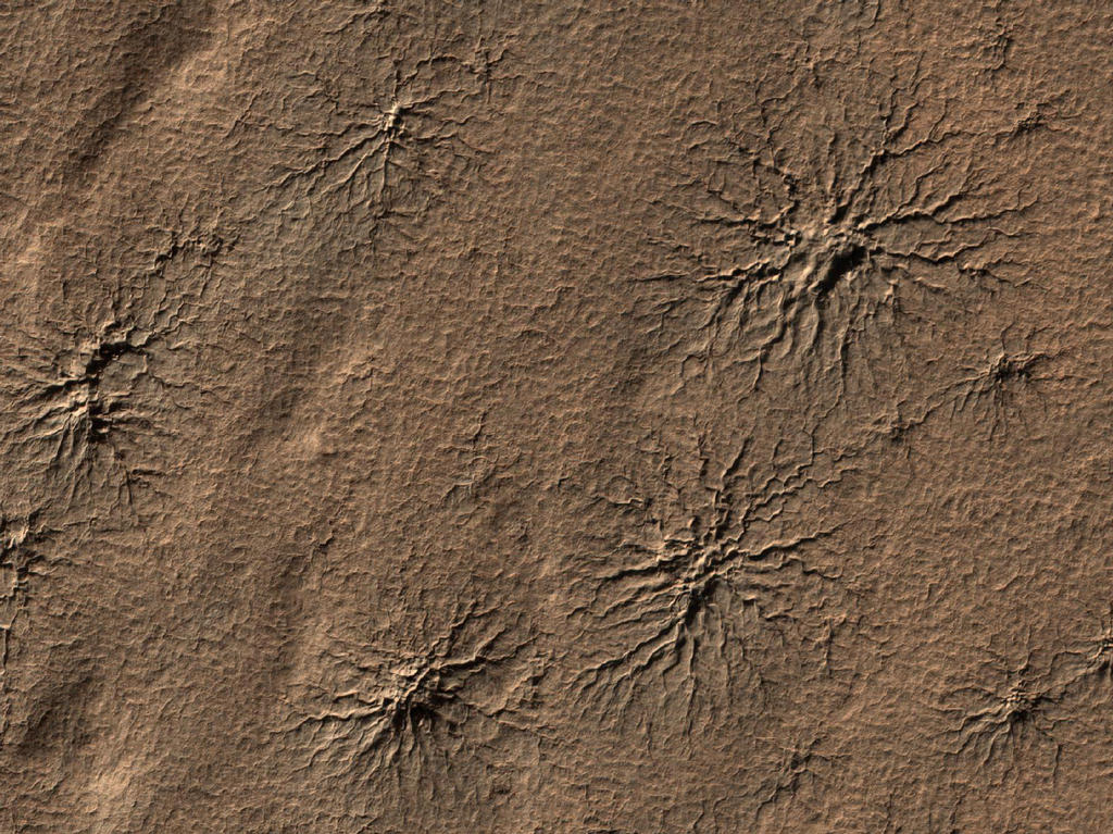 What appear to be spiders scampering across the martian landscape are actually cracks in the surface of the southern polar region on Mars, seen by the Mars Reconnaissance Orbiter on August 23, 2009. Caused as carbon dioxide ice evaporates and escapes into the atmosphere, there is no escaping that these "araneiform" features look like our 8 legged friends!