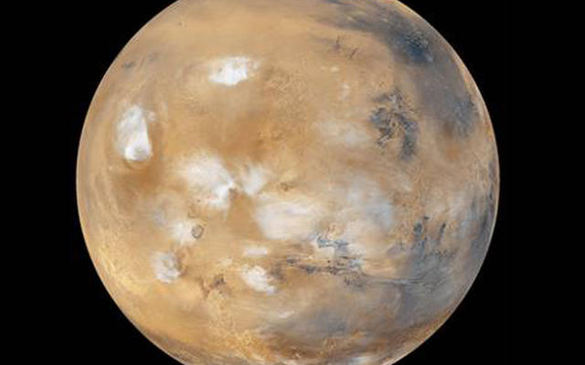 Key Questions for Deciding on the Mars 2020 Rover's landing Site