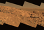 This approximate true-color image taken by the Mars Exploration Rover Spirit shows a rock outcrop dubbed 'Longhorn,' and behind it, the sweeping plains of Gusev Crater.