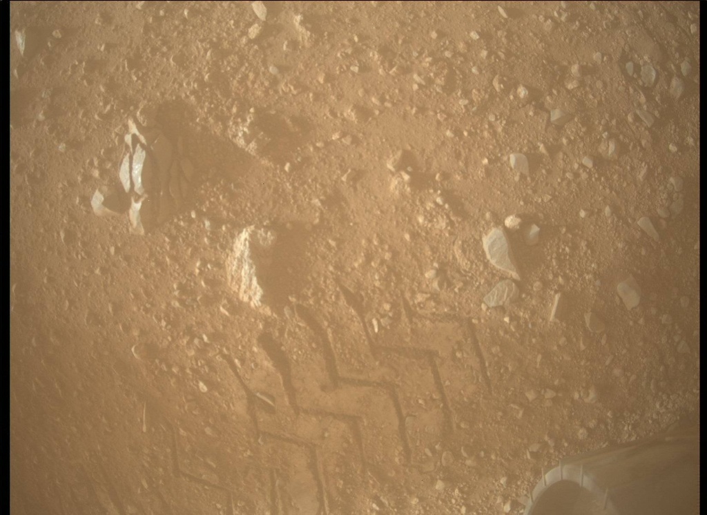 Mars Descent Imager (MARDI)