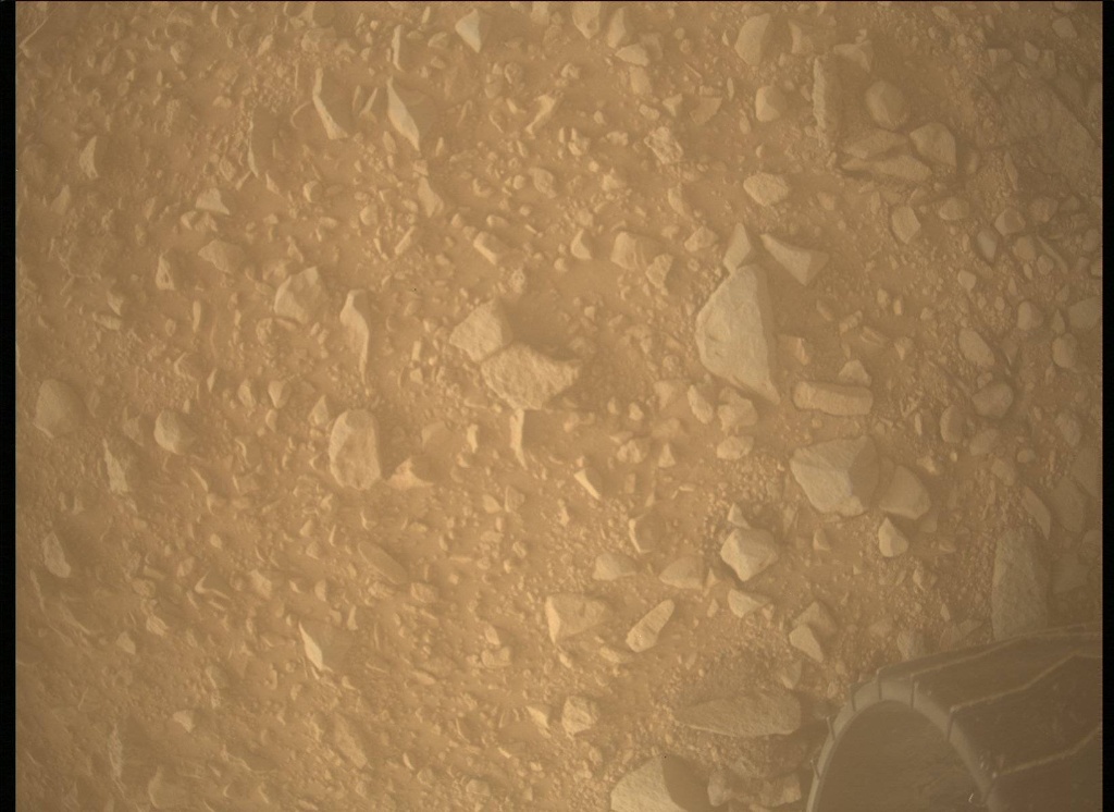 Mars Descent Imager (MARDI)