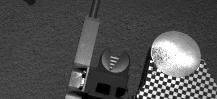 Scooped Material on Rover's Observation Tray