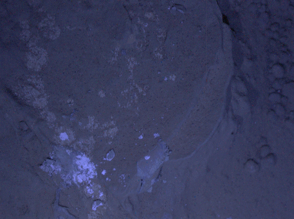 MAHLI's First Night Imaging of Martian Rock Under Ultraviolet Lighting