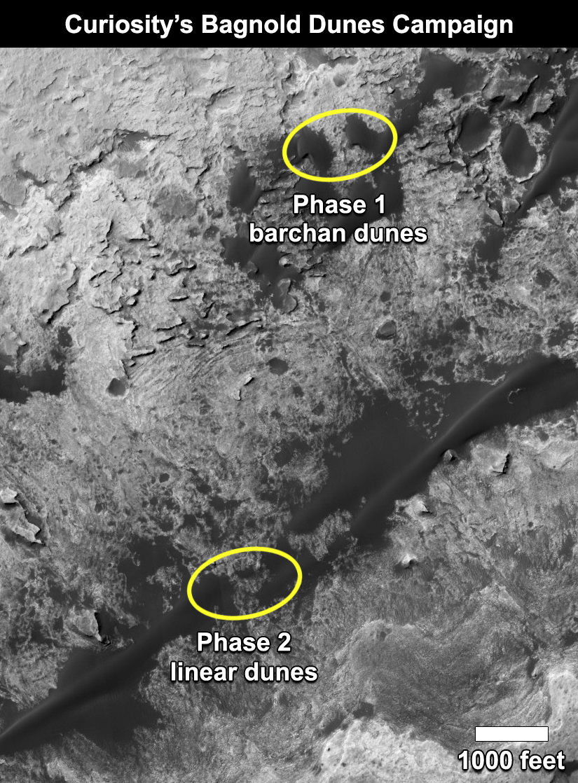 Curiosity's Bagnold Dunes Campaign: Two Types of Dunes