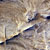 In this image, many small ridges are evident next to the smoother, eroded neighboring areas.  The eroded areas are characterized by lightly colored, almost whitish rock.  The ridge-like areas are a darker brown color.