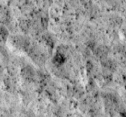 This high resolution image taken by MRO shows the Viking 2 heatshield.