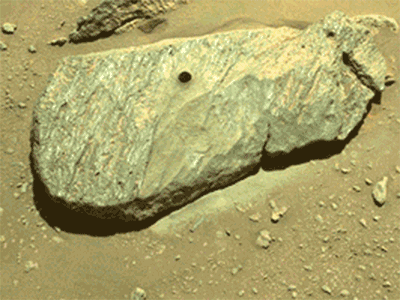 Image of various rock samples taken by Perseverance rover