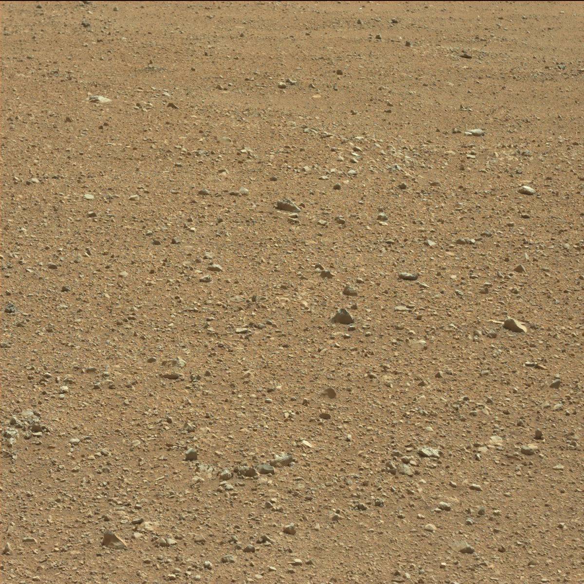 Nasa's Mars rover Curiosity acquired this image using its Mast Camera (Mastcam) on Sol 3