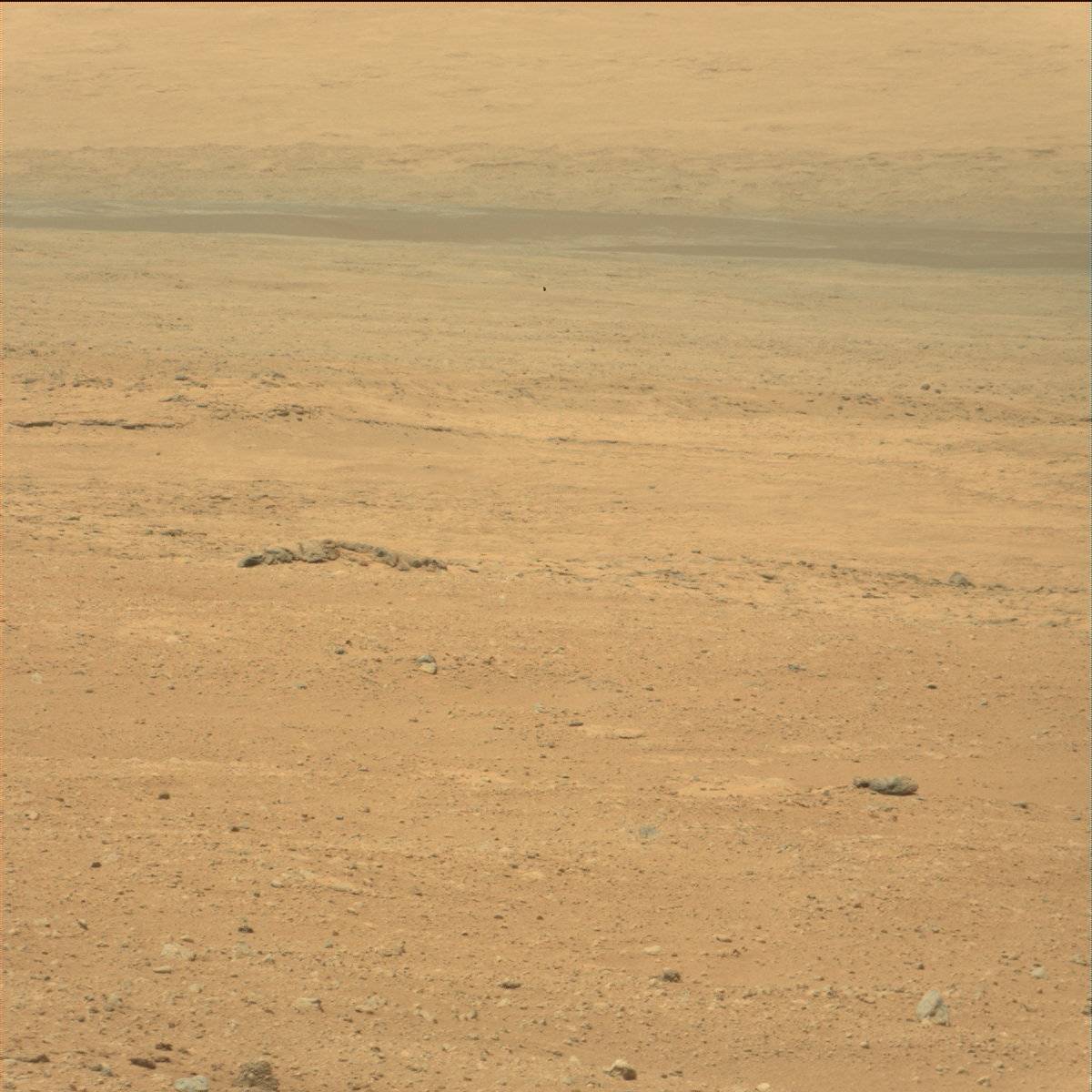 Nasa's Mars rover Curiosity acquired this image using its Mast Camera (Mastcam) on Sol 21