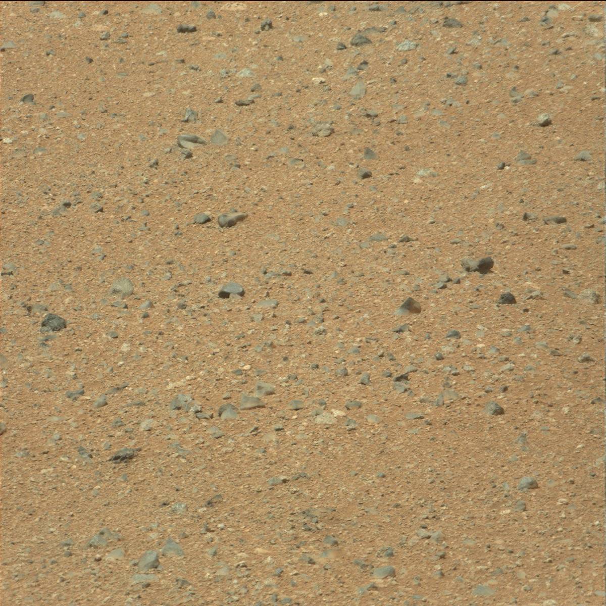 Nasa's Mars rover Curiosity acquired this image using its Mast Camera (Mastcam) on Sol 21