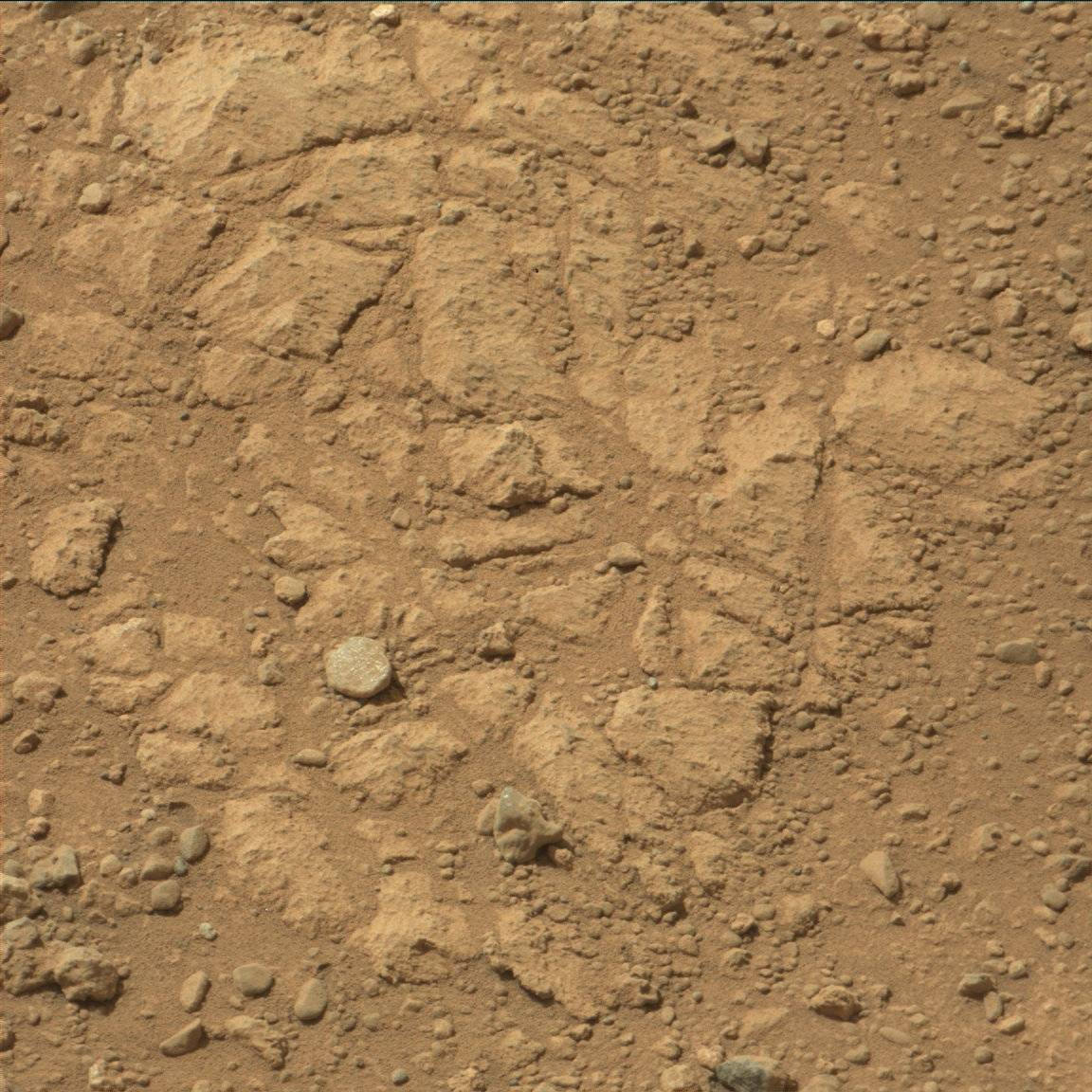 Nasa's Mars rover Curiosity acquired this image using its Mast Camera (Mastcam) on Sol 30