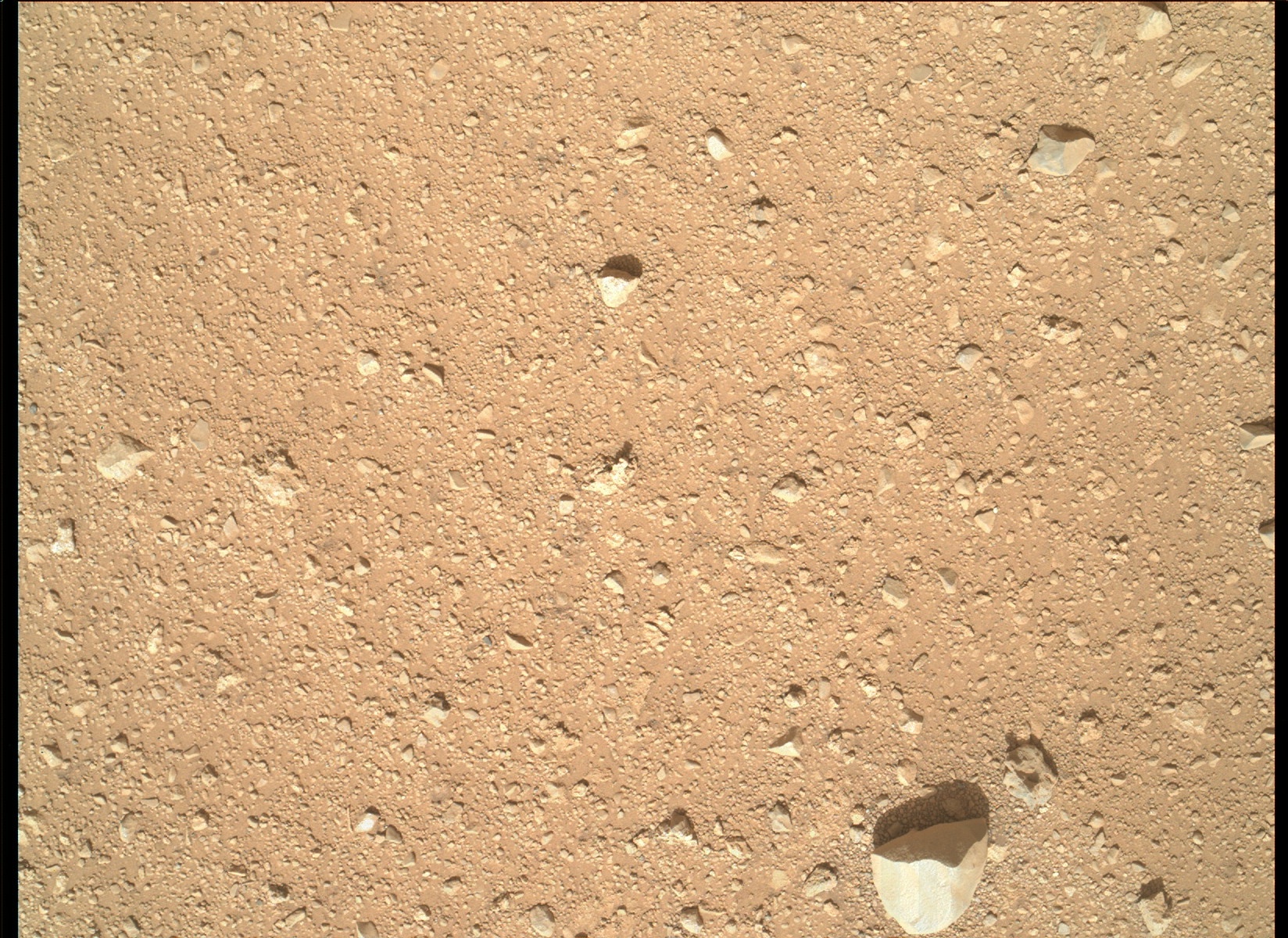 Nasa's Mars rover Curiosity acquired this image using its Mars Hand Lens Imager (MAHLI) on Sol 33