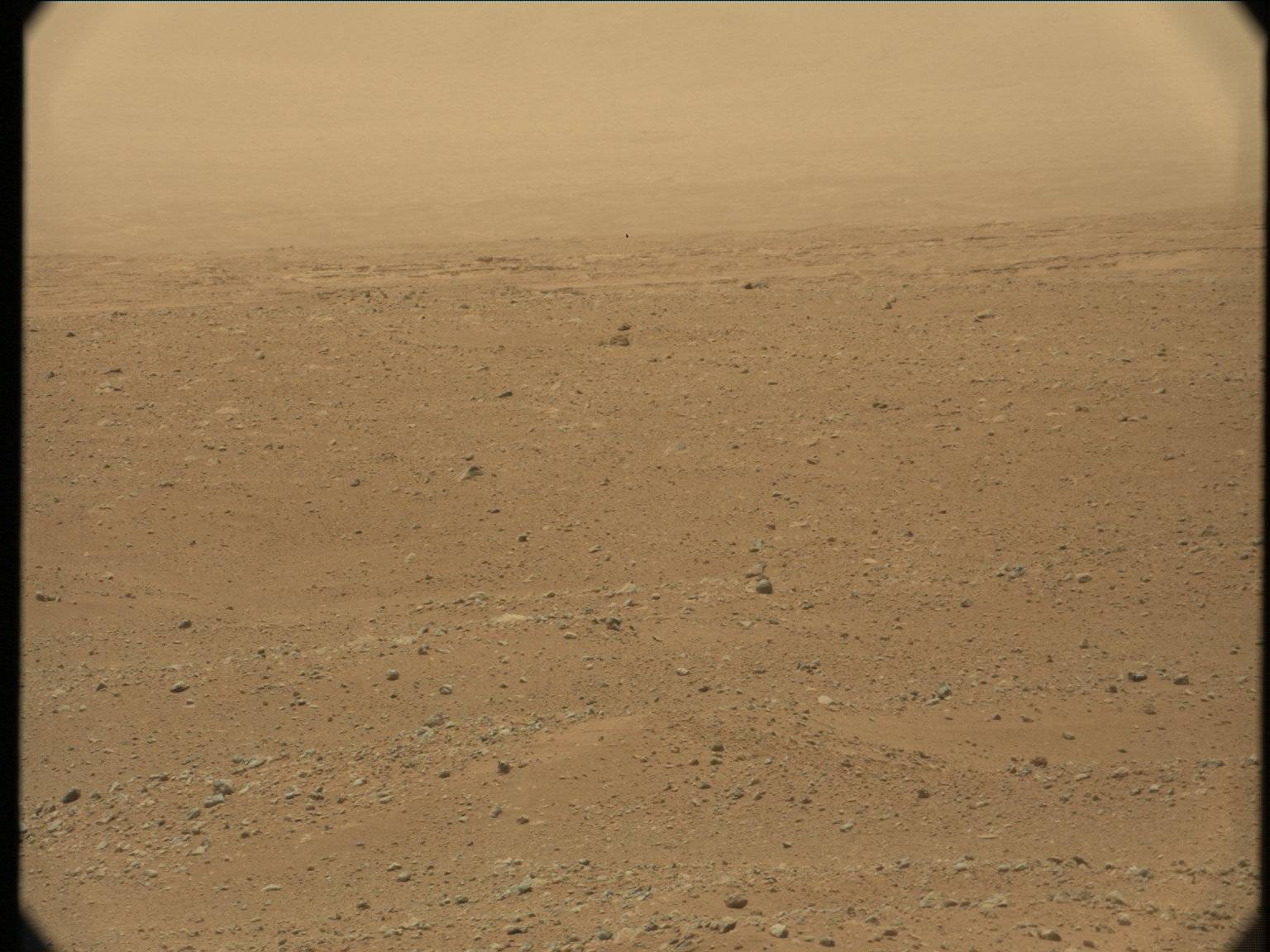 Nasa's Mars rover Curiosity acquired this image using its Mast Camera (Mastcam) on Sol 36