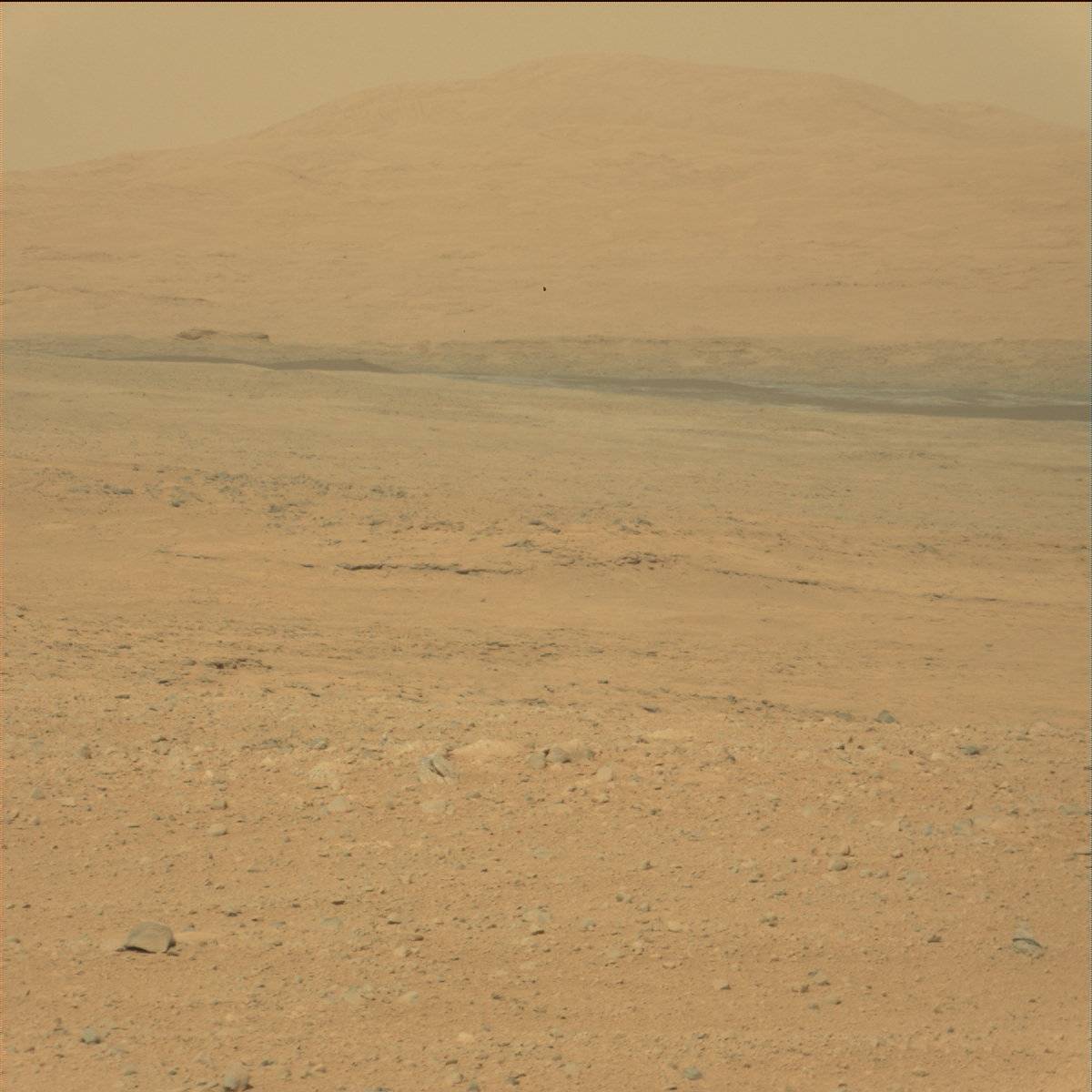 Nasa's Mars rover Curiosity acquired this image using its Mast Camera (Mastcam) on Sol 38