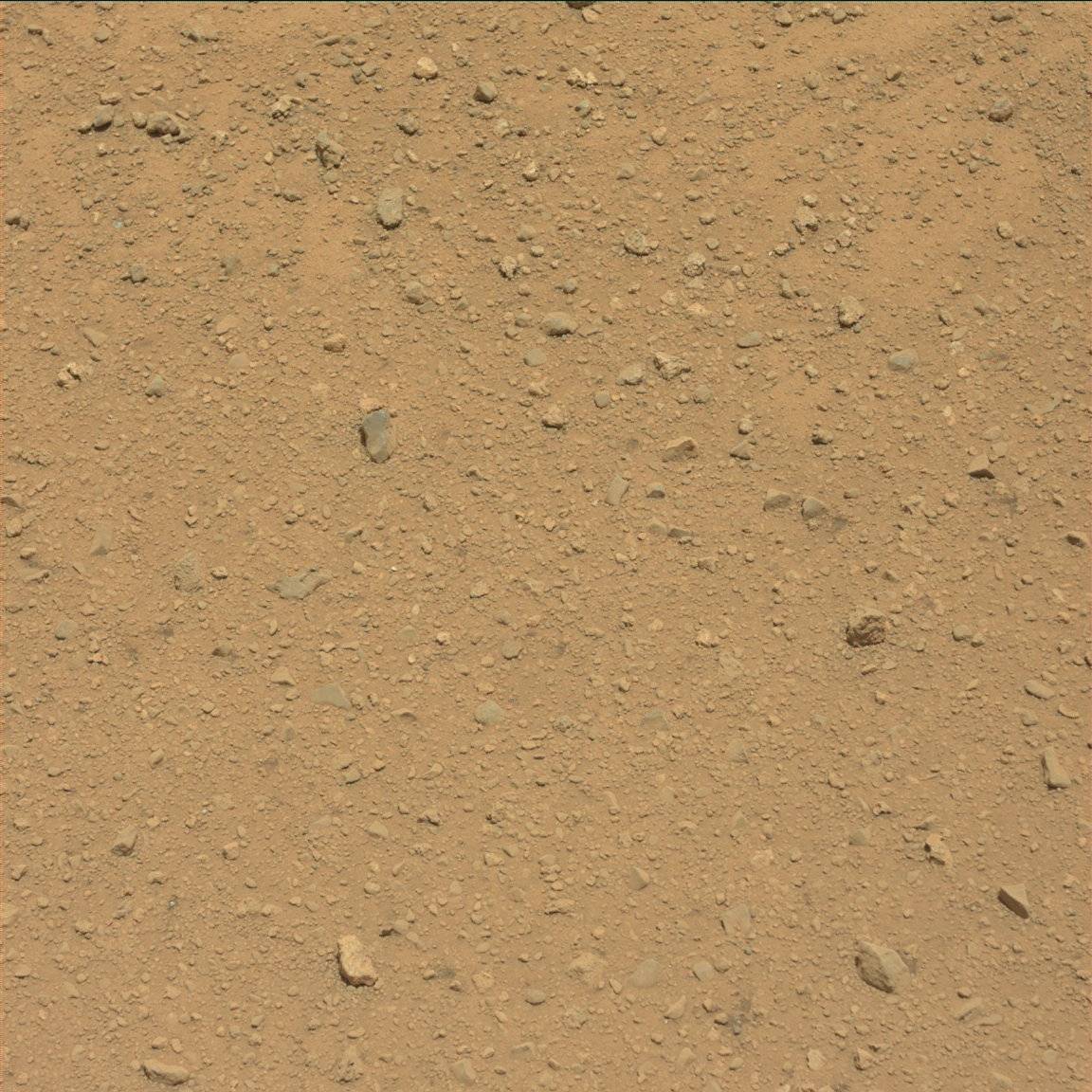 Nasa's Mars rover Curiosity acquired this image using its Mast Camera (Mastcam) on Sol 39
