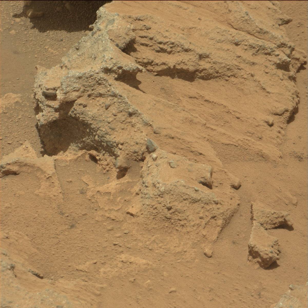 Nasa's Mars rover Curiosity acquired this image using its Mast Camera (Mastcam) on Sol 39