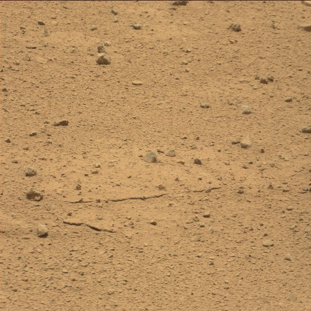 Nasa's Mars rover Curiosity acquired this image using its Mast Camera (Mastcam) on Sol 40