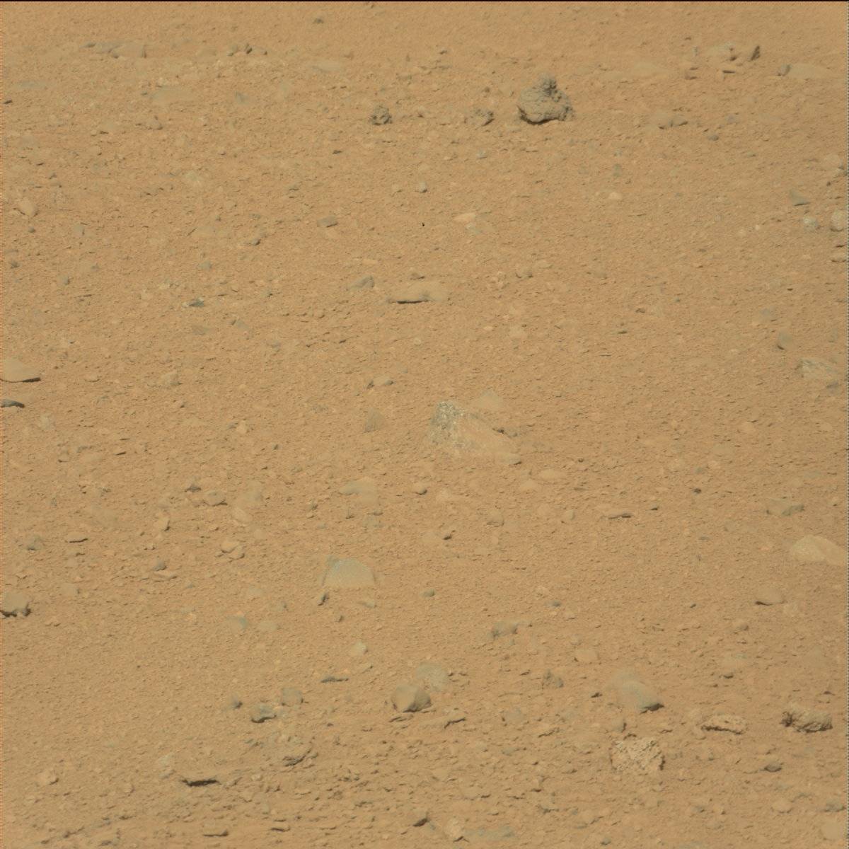 Nasa's Mars rover Curiosity acquired this image using its Mast Camera (Mastcam) on Sol 40