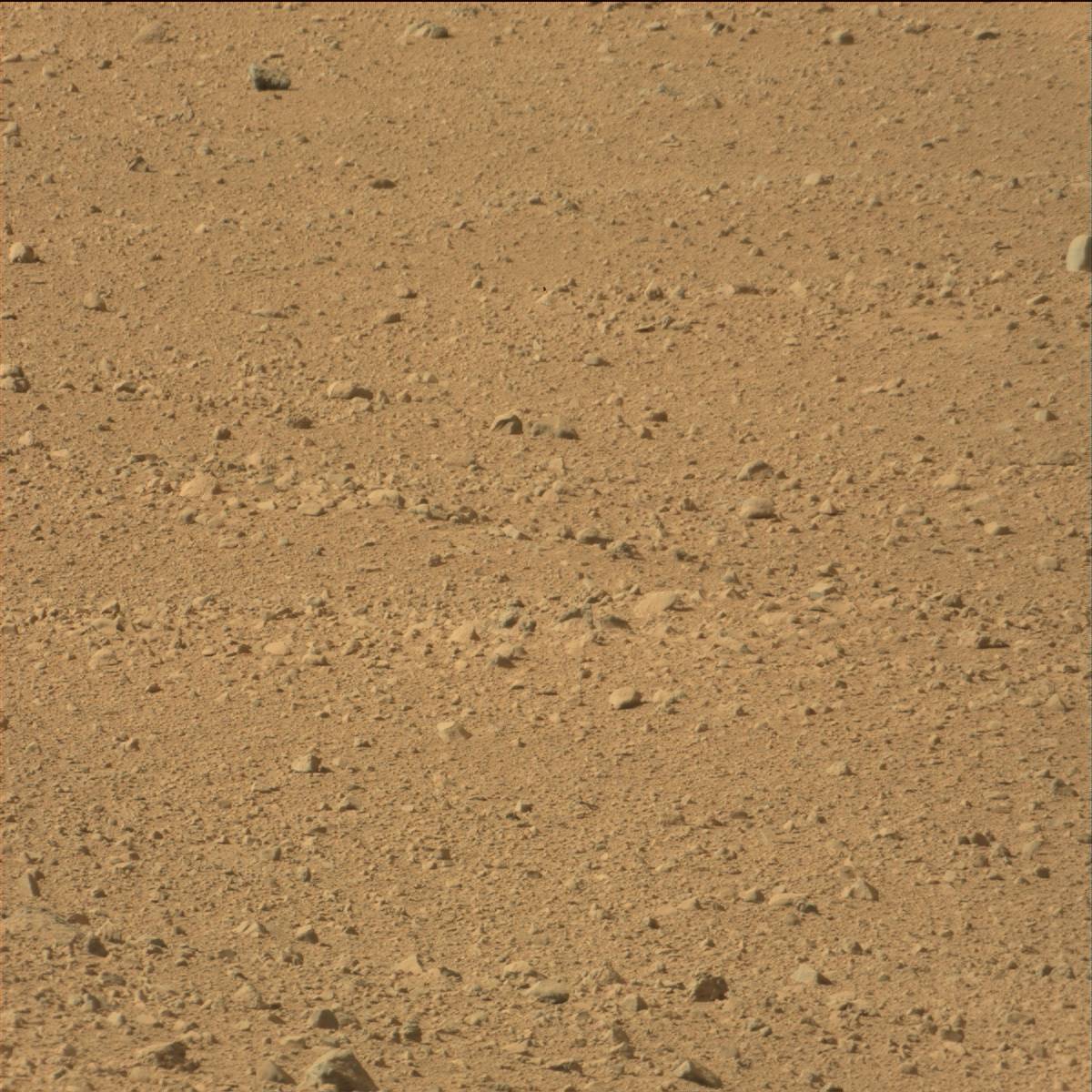 Nasa's Mars rover Curiosity acquired this image using its Mast Camera (Mastcam) on Sol 42
