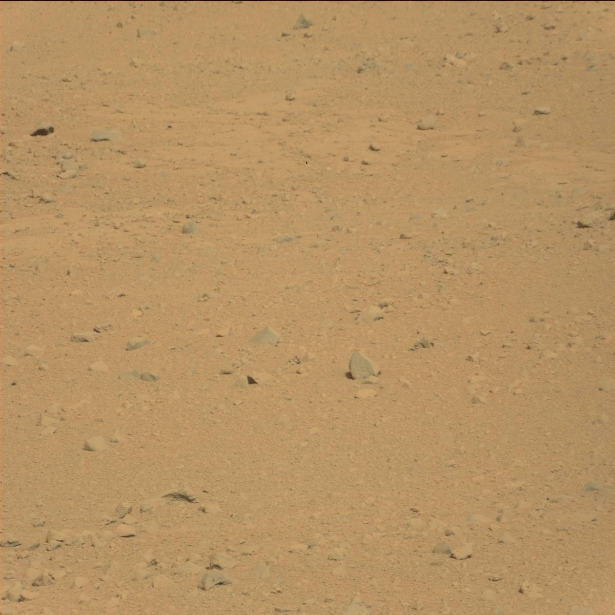 Nasa's Mars rover Curiosity acquired this image using its Mast Camera (Mastcam) on Sol 42