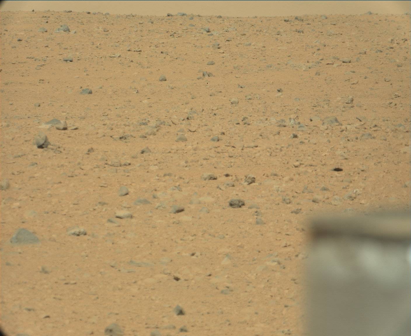 Nasa's Mars rover Curiosity acquired this image using its Mast Camera (Mastcam) on Sol 44