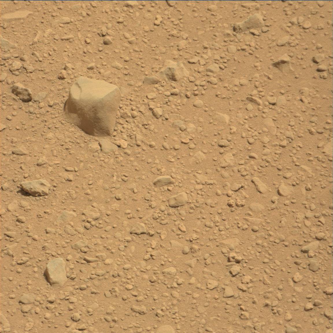 Nasa's Mars rover Curiosity acquired this image using its Mast Camera (Mastcam) on Sol 45