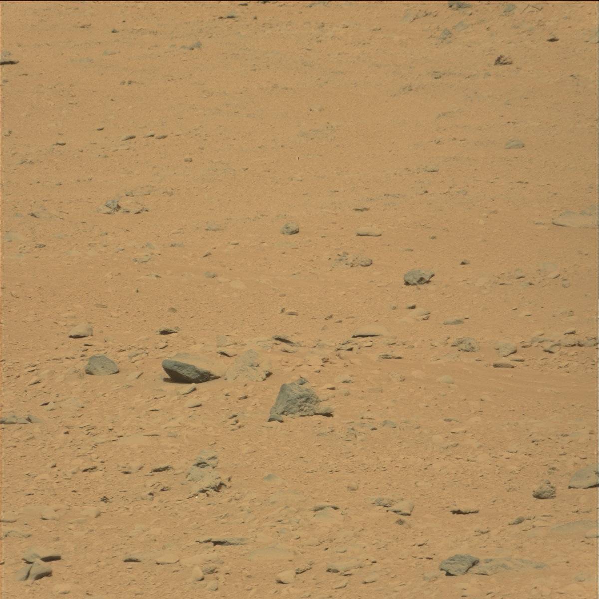 Nasa's Mars rover Curiosity acquired this image using its Mast Camera (Mastcam) on Sol 49