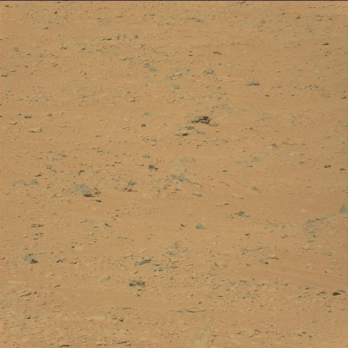 Nasa's Mars rover Curiosity acquired this image using its Mast Camera (Mastcam) on Sol 49