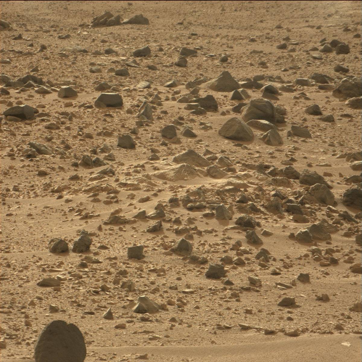 Nasa's Mars rover Curiosity acquired this image using its Mast Camera (Mastcam) on Sol 50