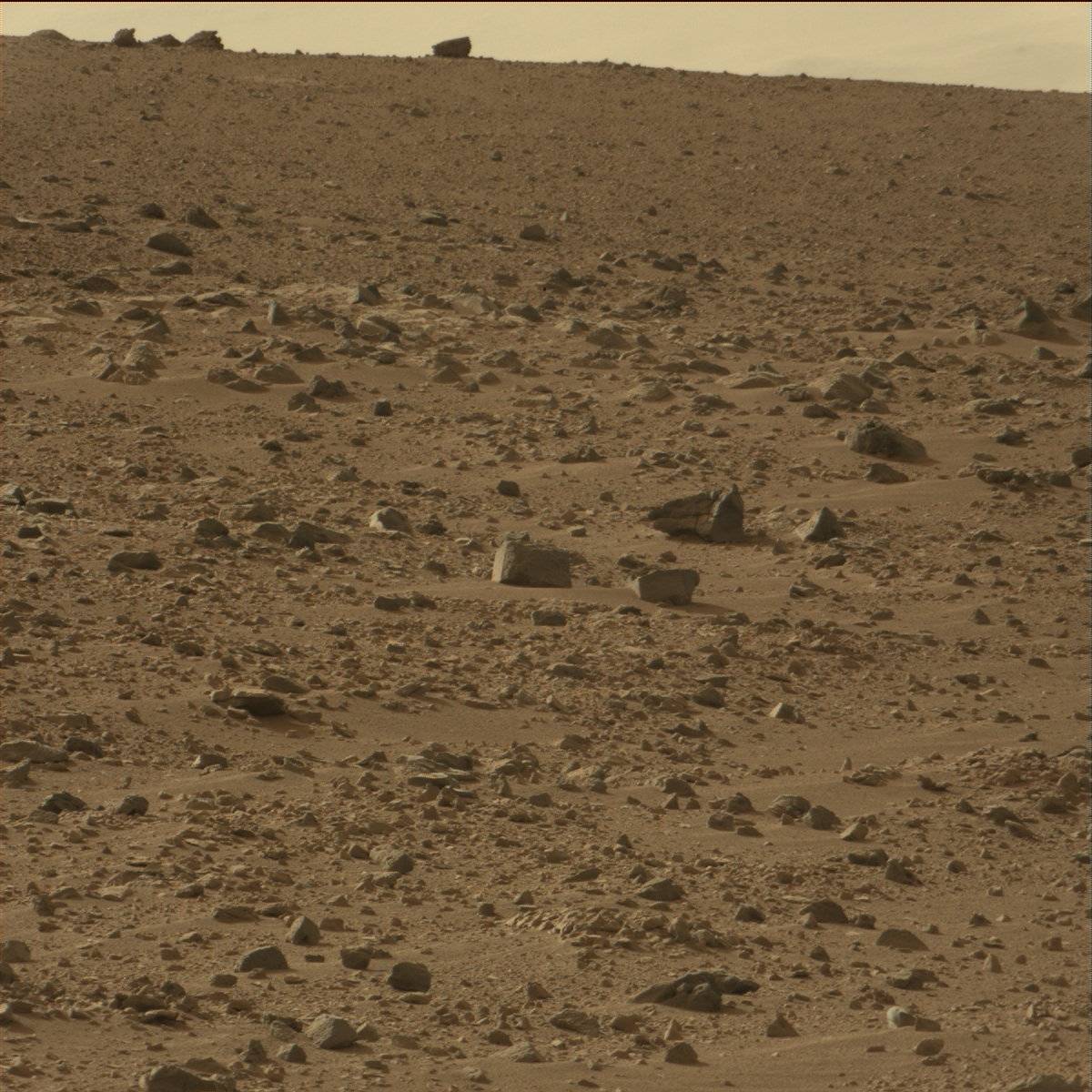 Nasa's Mars rover Curiosity acquired this image using its Mast Camera (Mastcam) on Sol 50