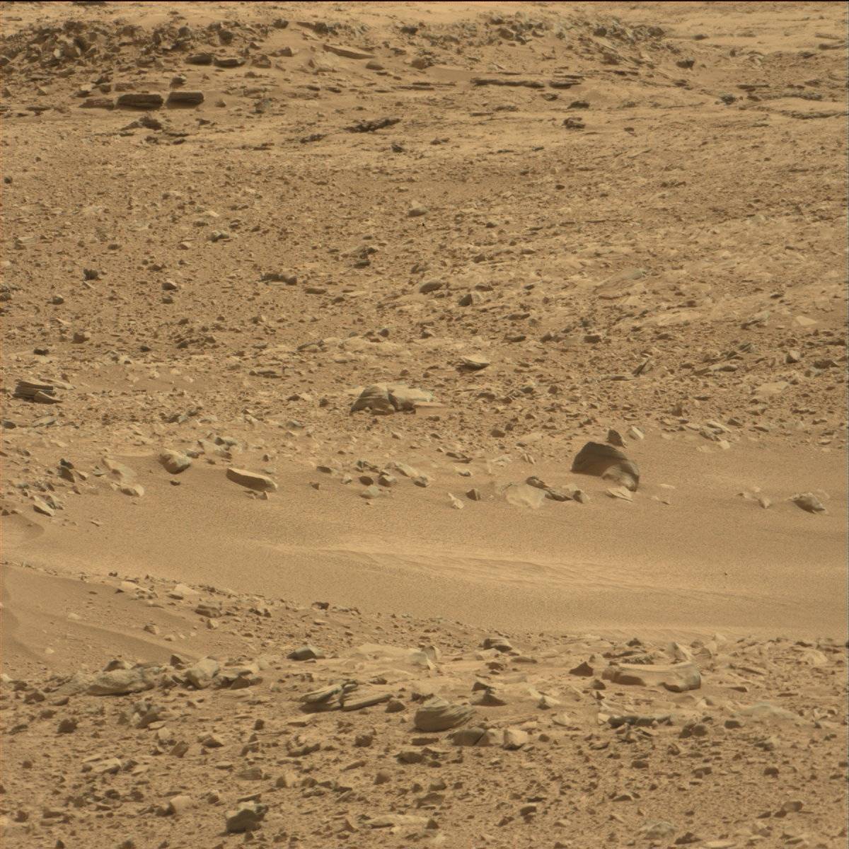 Nasa's Mars rover Curiosity acquired this image using its Mast Camera (Mastcam) on Sol 51
