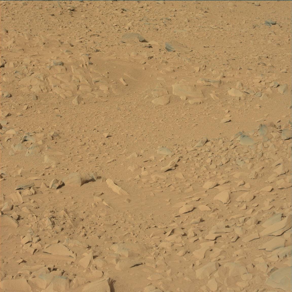 Nasa's Mars rover Curiosity acquired this image using its Mast Camera (Mastcam) on Sol 52
