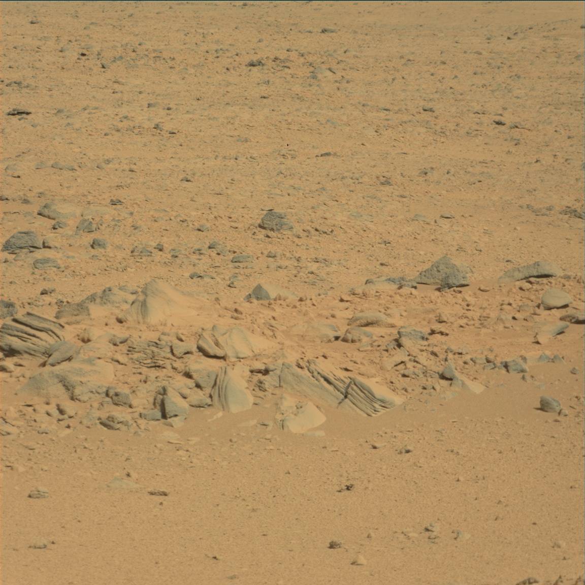 Nasa's Mars rover Curiosity acquired this image using its Mast Camera (Mastcam) on Sol 53
