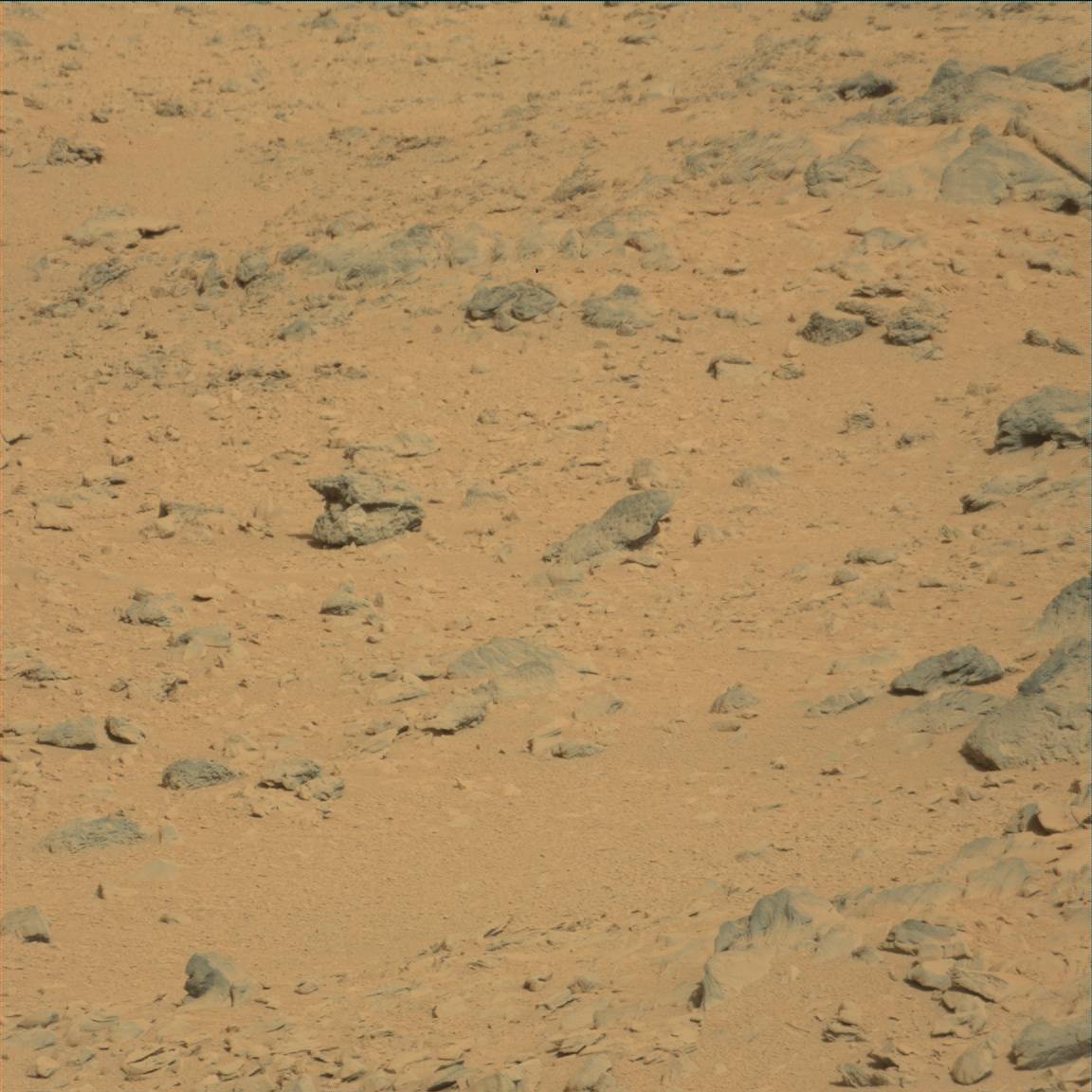 Nasa's Mars rover Curiosity acquired this image using its Mast Camera (Mastcam) on Sol 53