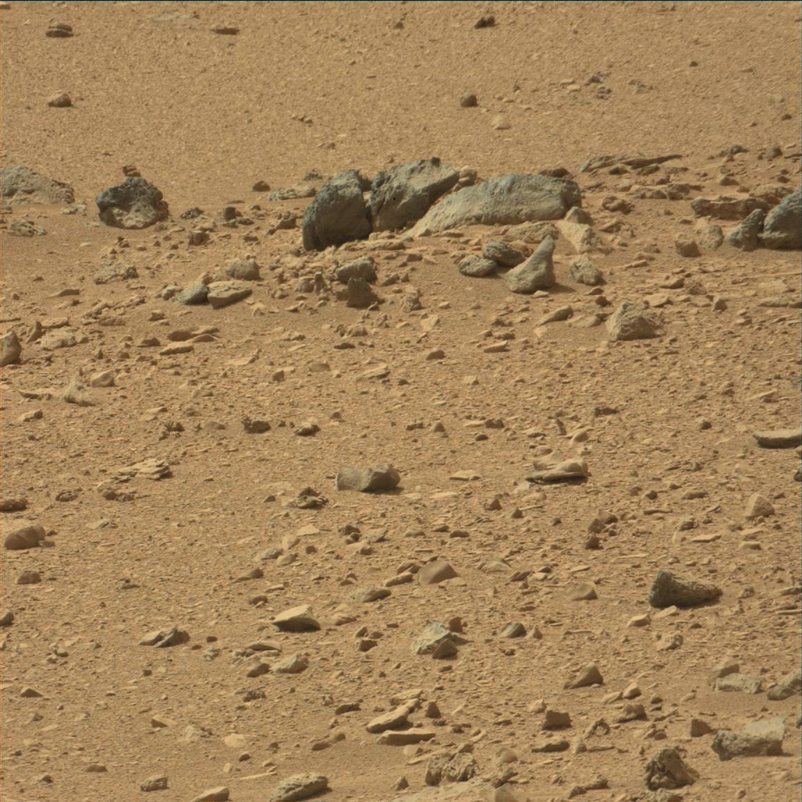 Nasa's Mars rover Curiosity acquired this image using its Mast Camera (Mastcam) on Sol 54