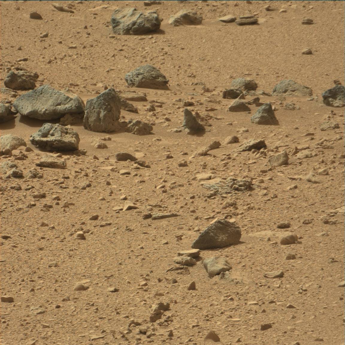 Nasa's Mars rover Curiosity acquired this image using its Mast Camera (Mastcam) on Sol 54
