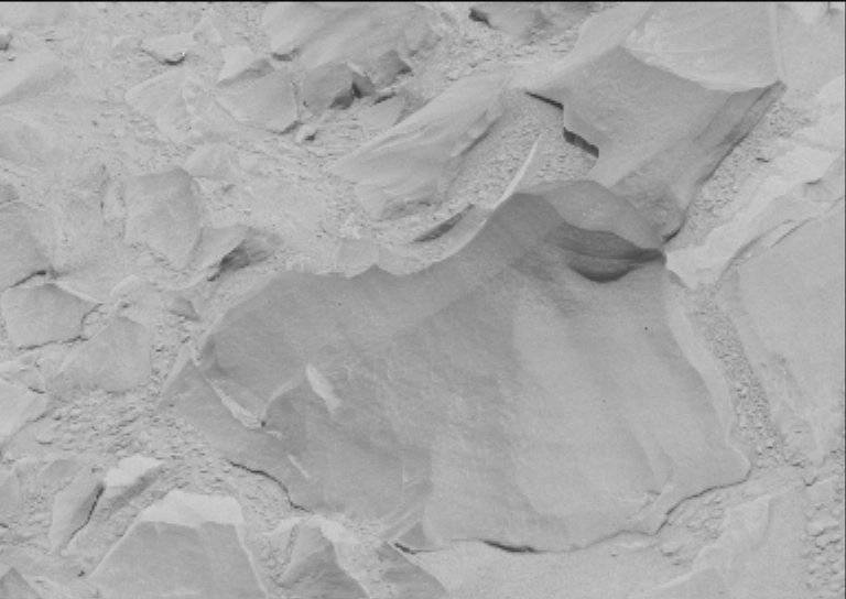 Nasa's Mars rover Curiosity acquired this image using its Mast Camera (Mastcam) on Sol 55