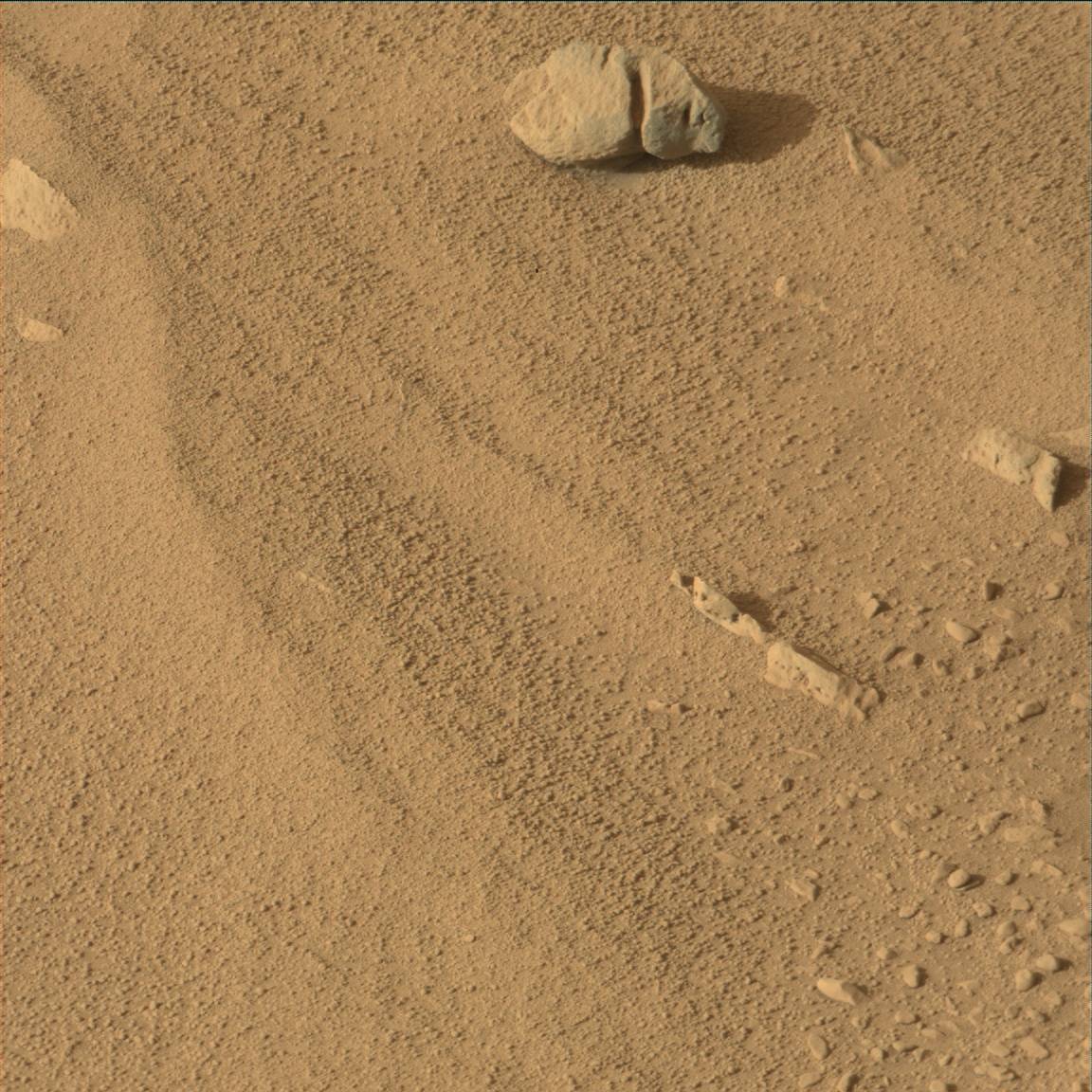 Nasa's Mars rover Curiosity acquired this image using its Mast Camera (Mastcam) on Sol 55