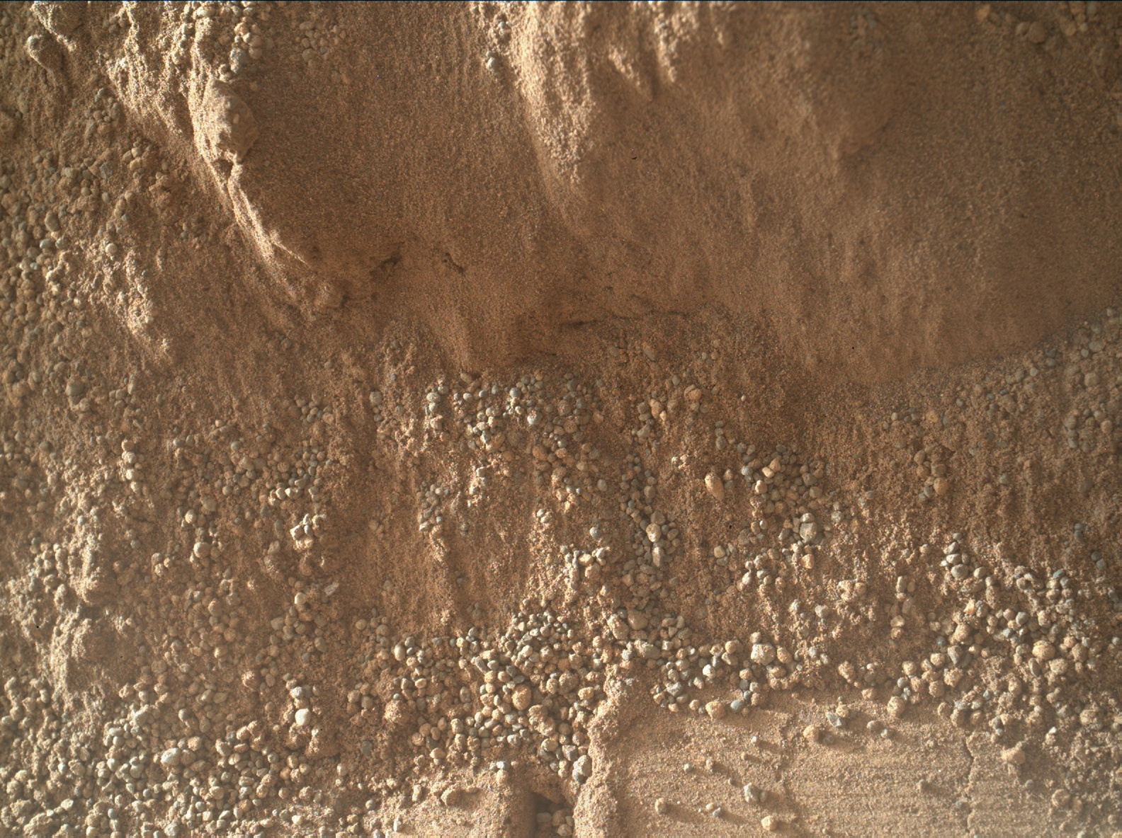 Nasa's Mars rover Curiosity acquired this image using its Mars Hand Lens Imager (MAHLI) on Sol 58