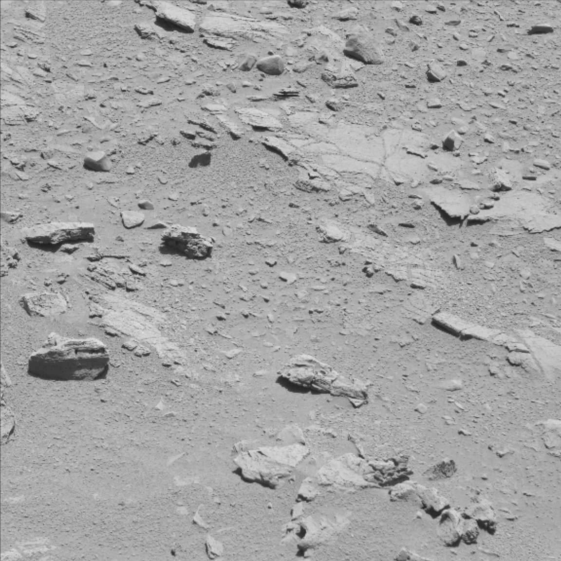 Nasa's Mars rover Curiosity acquired this image using its Mast Camera (Mastcam) on Sol 60