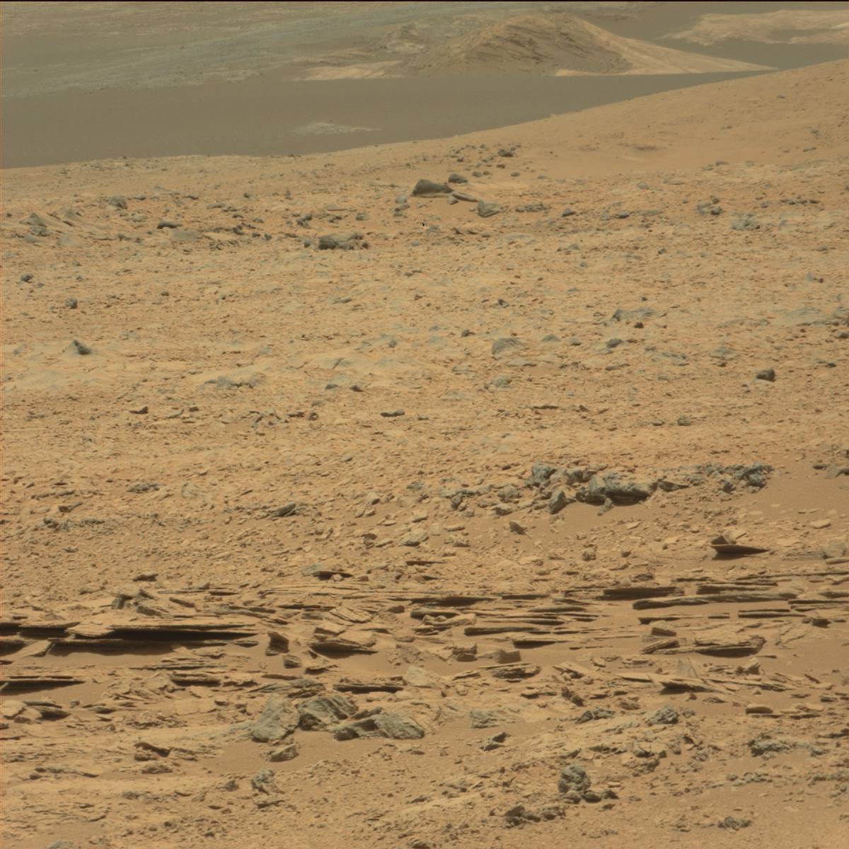 Nasa's Mars rover Curiosity acquired this image using its Mast Camera (Mastcam) on Sol 60