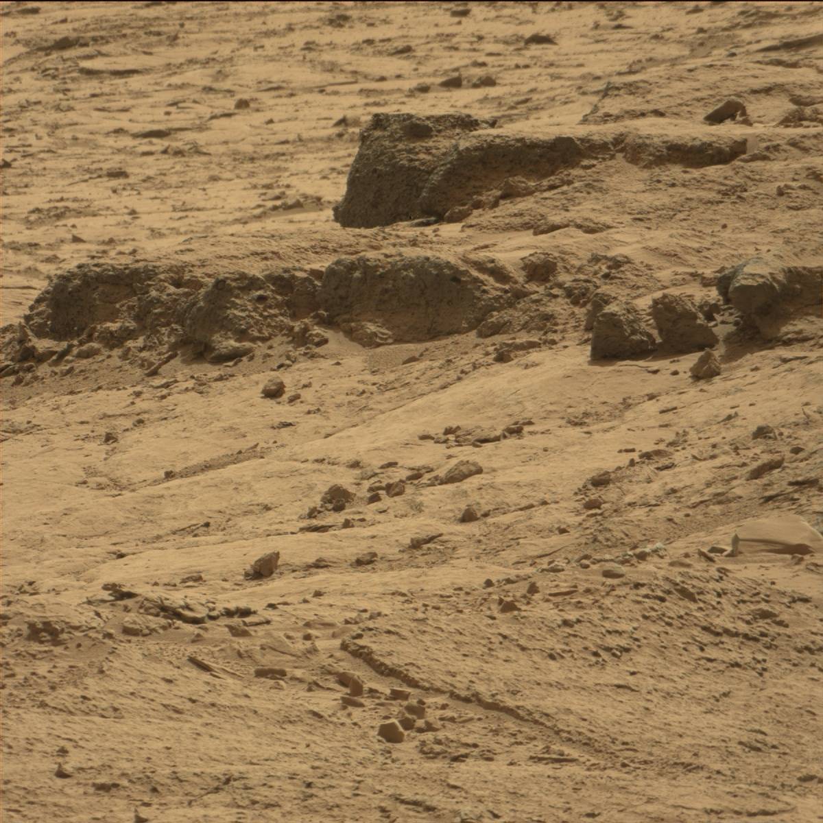Nasa's Mars rover Curiosity acquired this image using its Mast Camera (Mastcam) on Sol 64