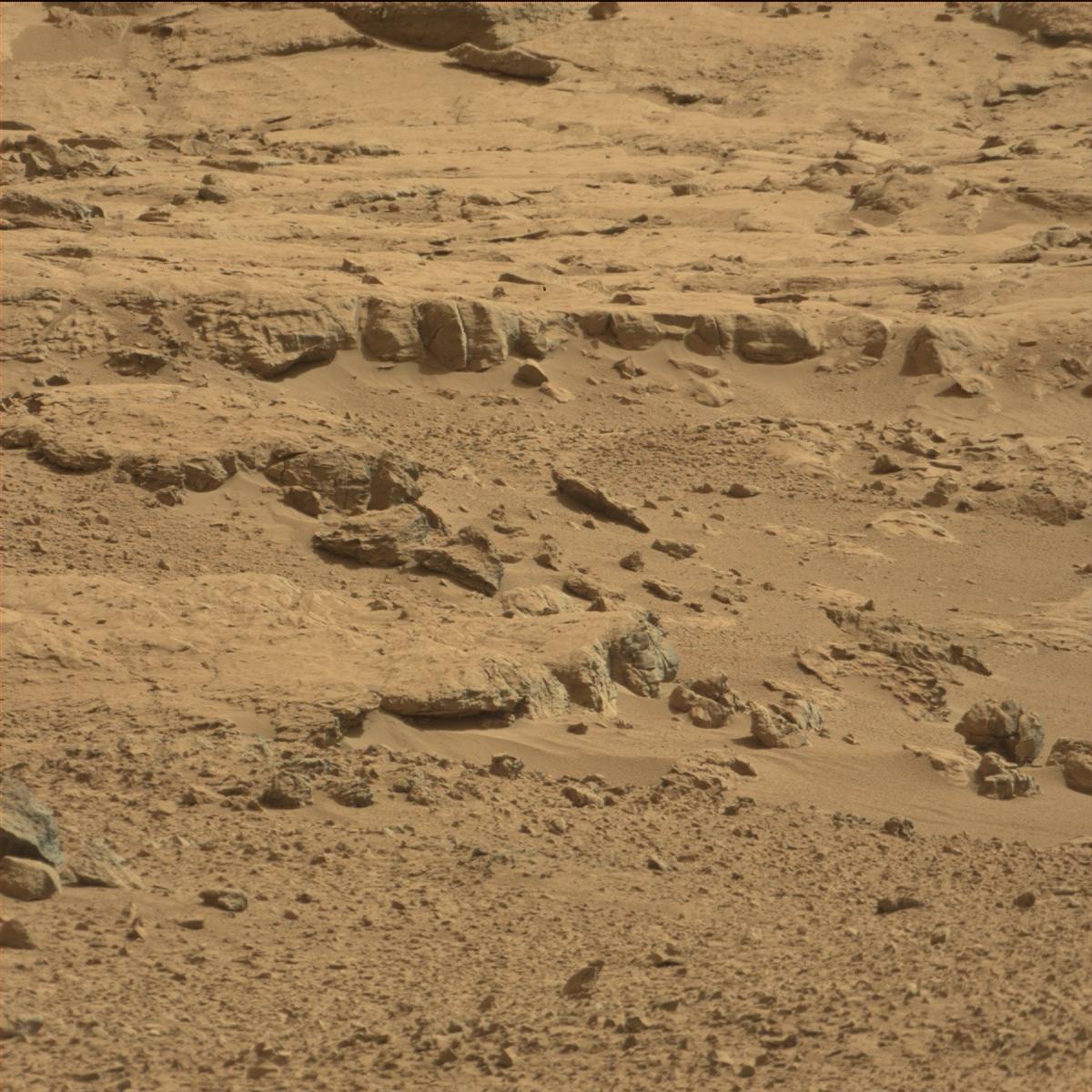 Nasa's Mars rover Curiosity acquired this image using its Mast Camera (Mastcam) on Sol 64