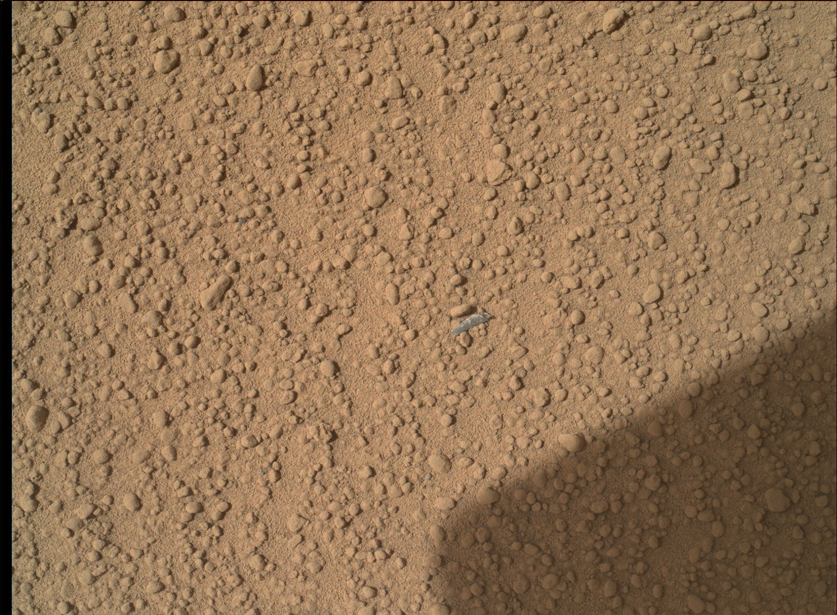 Nasa's Mars rover Curiosity acquired this image using its Mars Hand Lens Imager (MAHLI) on Sol 65