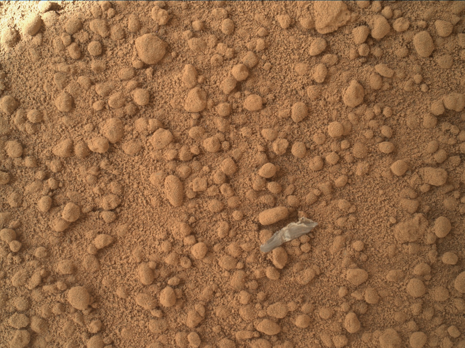 Nasa's Mars rover Curiosity acquired this image using its Mars Hand Lens Imager (MAHLI) on Sol 65