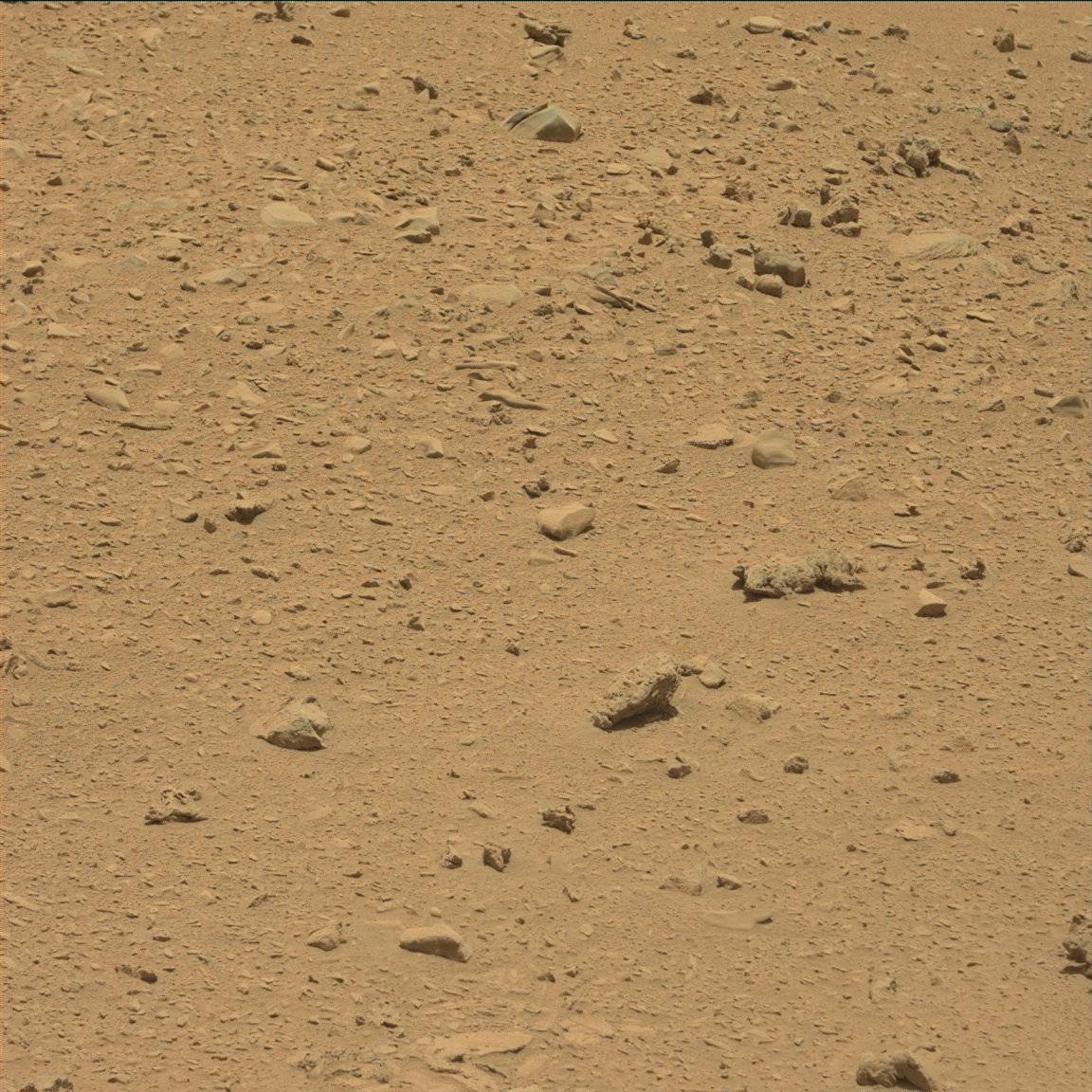 Nasa's Mars rover Curiosity acquired this image using its Mast Camera (Mastcam) on Sol 66