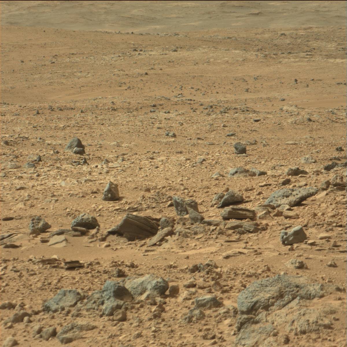 Nasa's Mars rover Curiosity acquired this image using its Mast Camera (Mastcam) on Sol 66