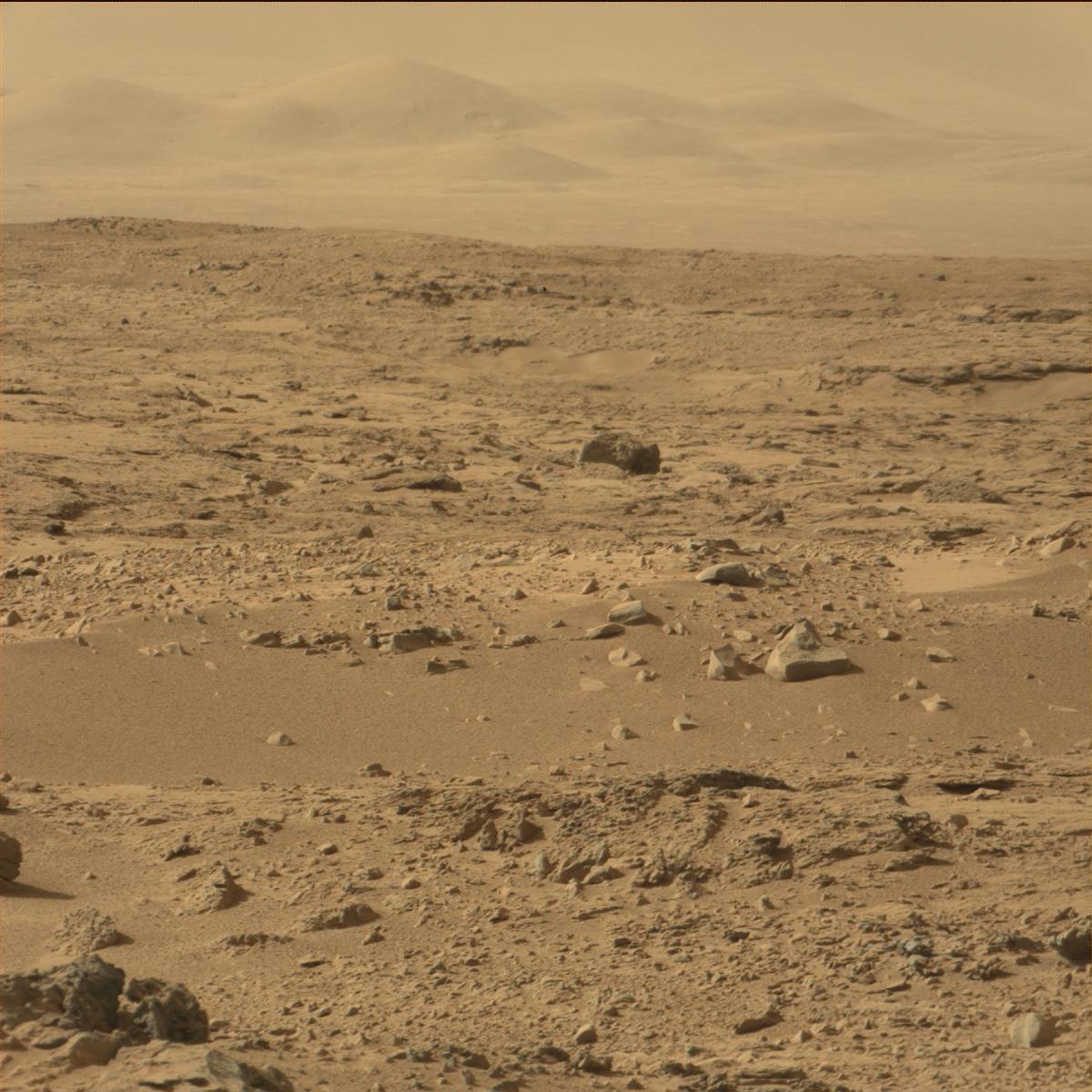 Nasa's Mars rover Curiosity acquired this image using its Mast Camera (Mastcam) on Sol 67