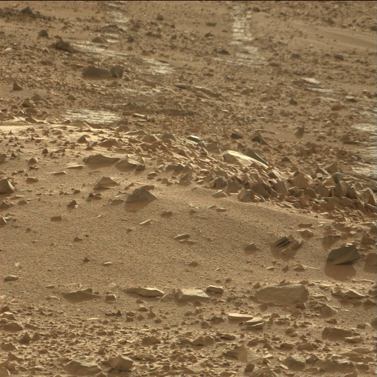 Nasa's Mars rover Curiosity acquired this image using its Mast Camera (Mastcam) on Sol 70